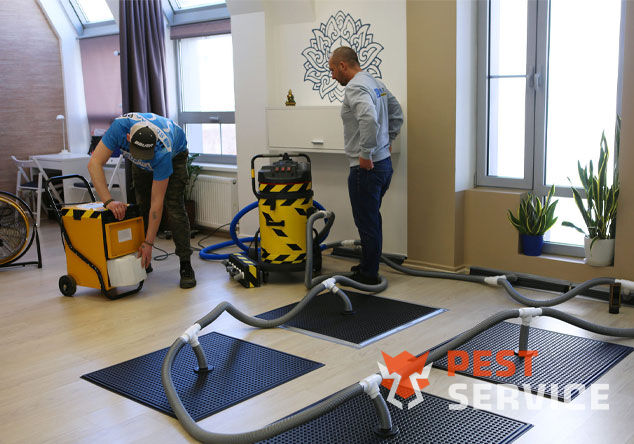 Профессиональная сушка после потопа в Баймаке от 3000 руб. Быстро устраняем влагу, предотвращаем плесень и повреждения. Современное оборудование и опытные специалисты. Безопасно и эффективно.